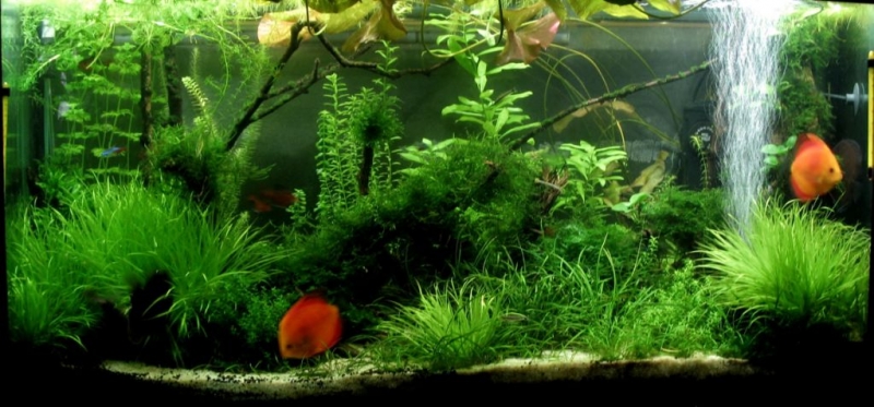 25.08.09 led.jpg