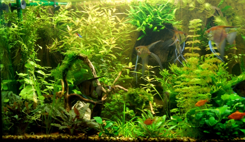 2011.01.31 b.jpg