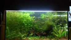 126L Mazur Jacek