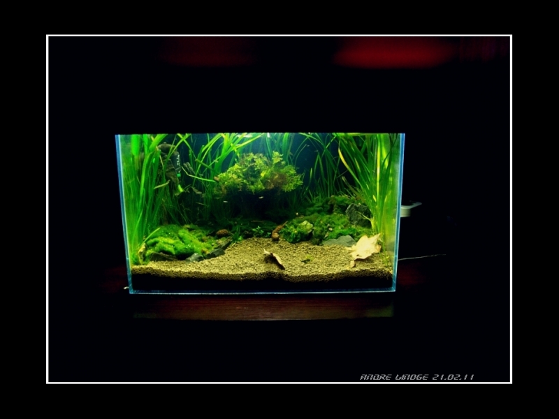 100_2136.jpg