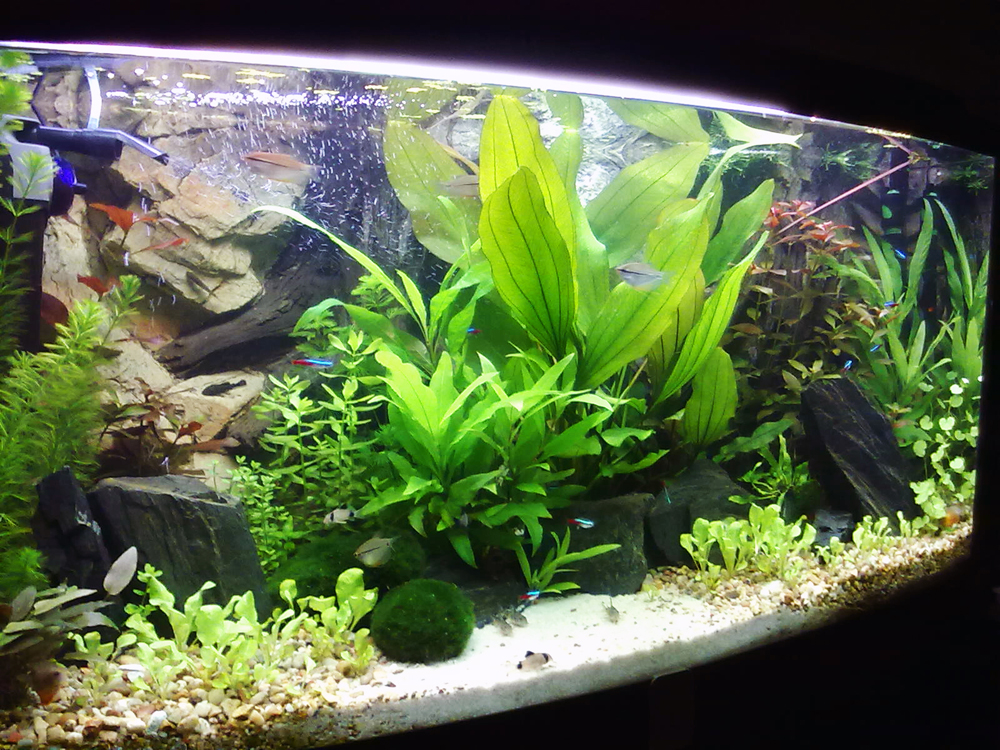 20110227148.jpg