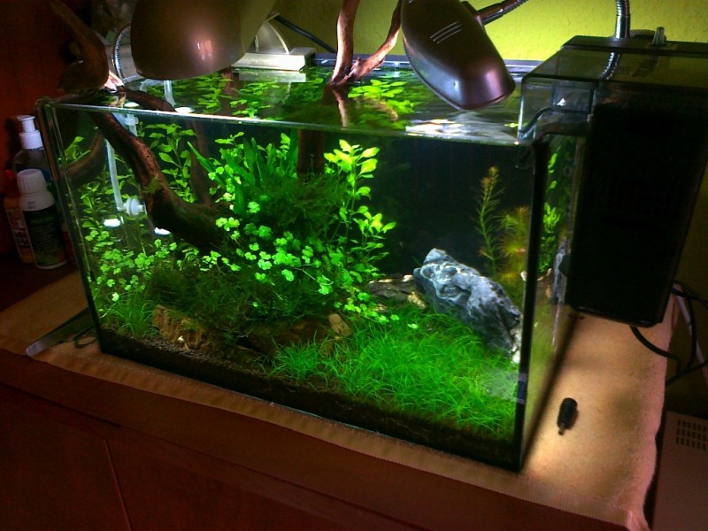 20110313052.jpg