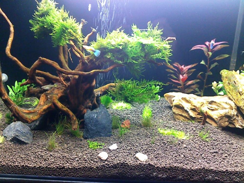 20110317014.jpg