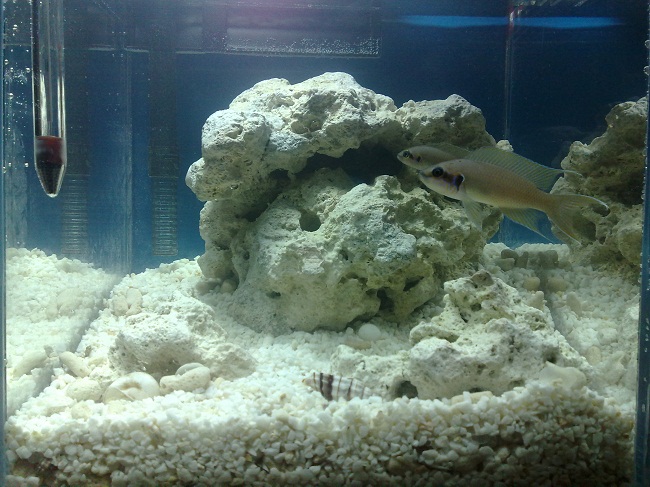 20110220634.jpg