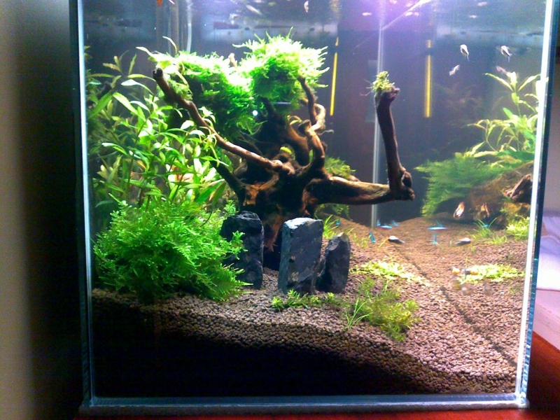 20110417029.jpg
