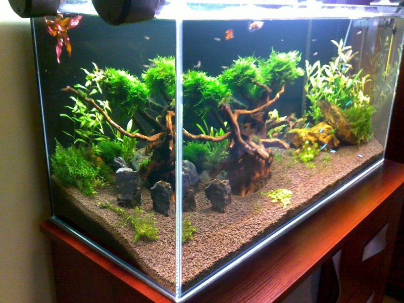 20110417028.jpg