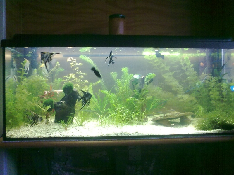 01052011179.jpg