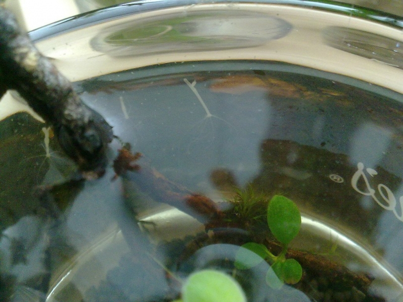 20110505249.jpg