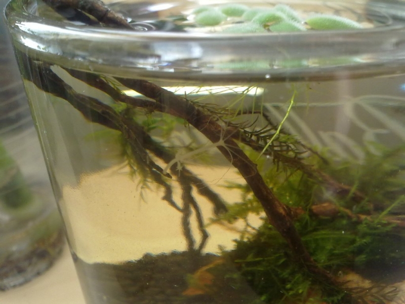 20110505248.jpg
