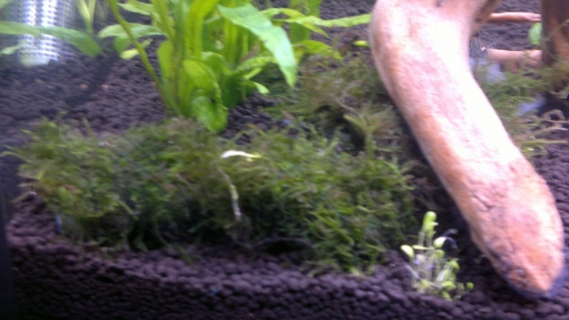 06062011235.jpg