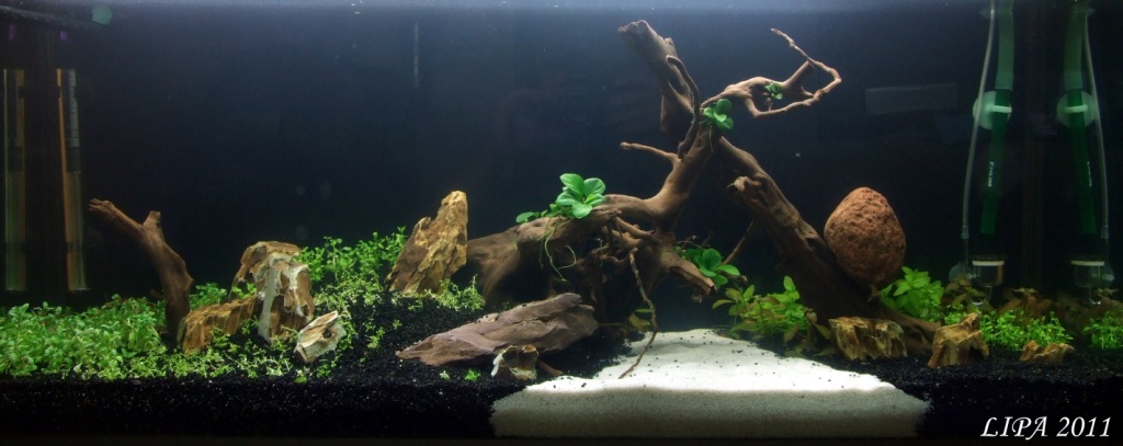 130 l.JPG