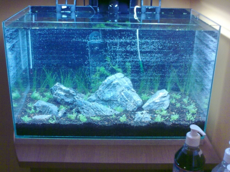 20110507256.jpg