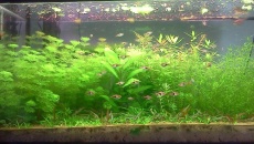200l - Low-Tech - Kacperkrzyz