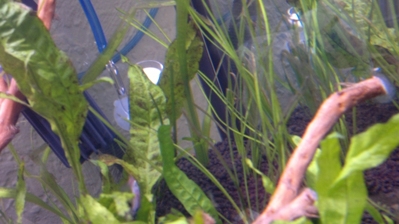 06062011238.jpg