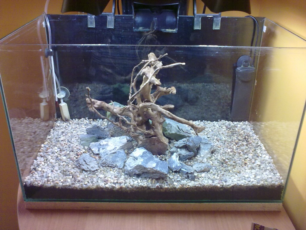 20110721427.jpg