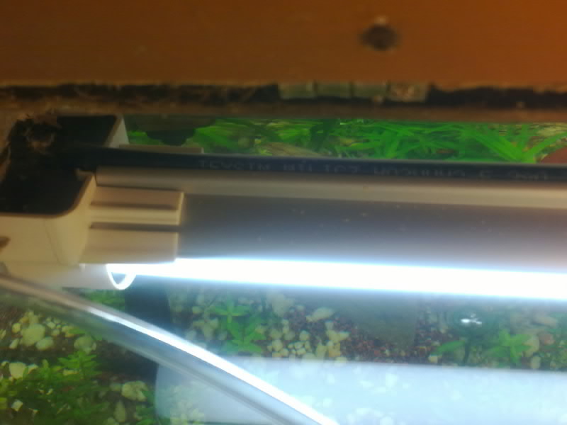06082011181.jpg