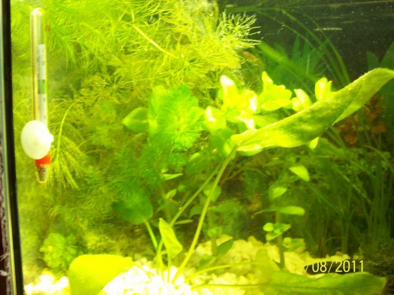 100_0200.jpg