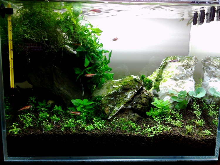 20110808067.jpg