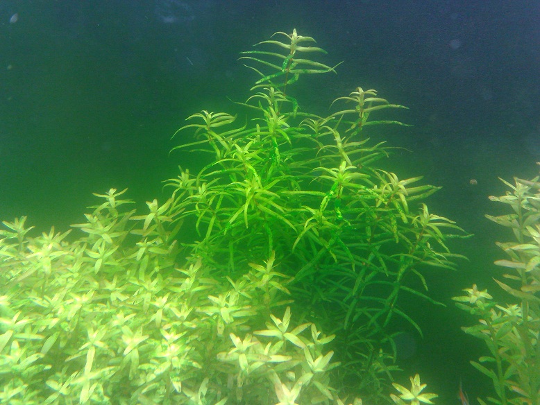 20110817174.jpg