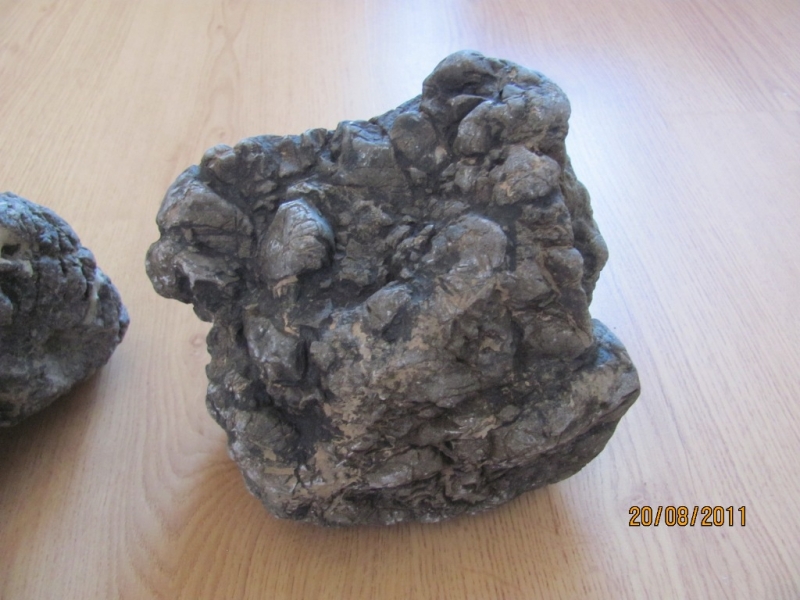 1 010.JPG