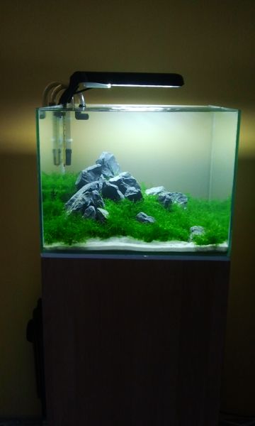 20110830_190311.jpg