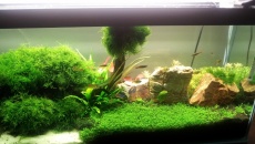 100l - nowe