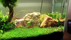 100l - nowe