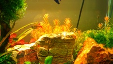 100l - nowe