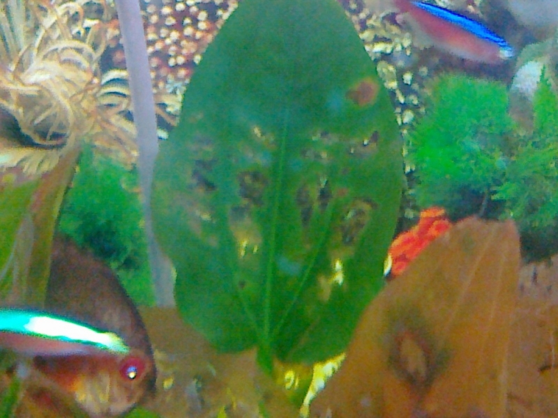 20111018026.jpg