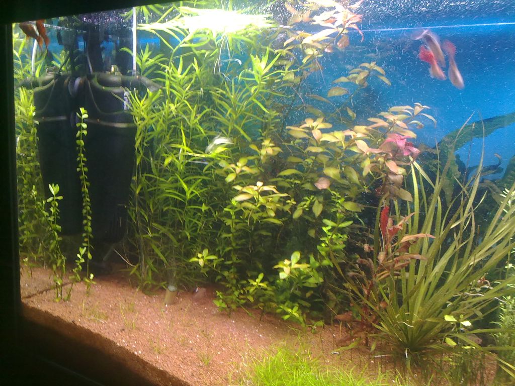 20111030640.jpg