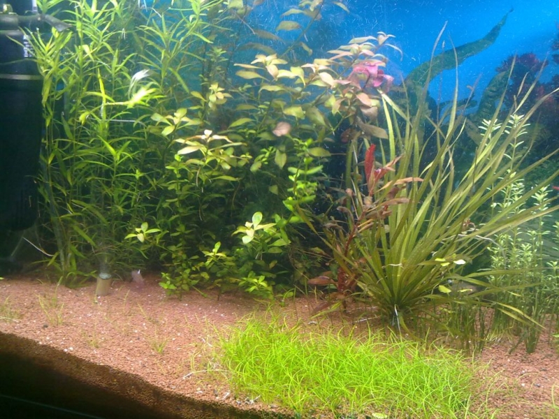 20111030638.jpg