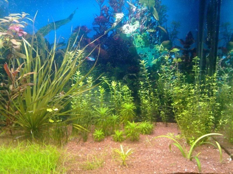 20111030637.jpg