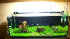 160l