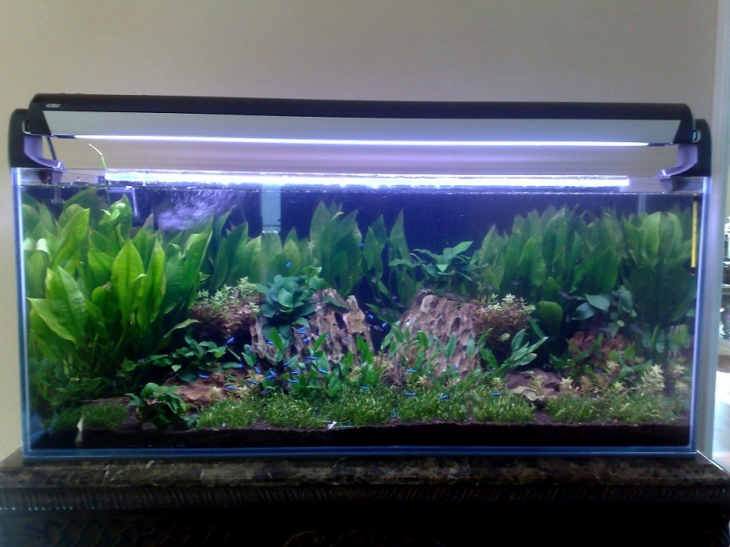 20111108294.jpg