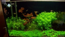 160l
