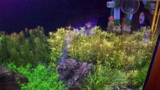 160l
