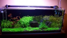 160l