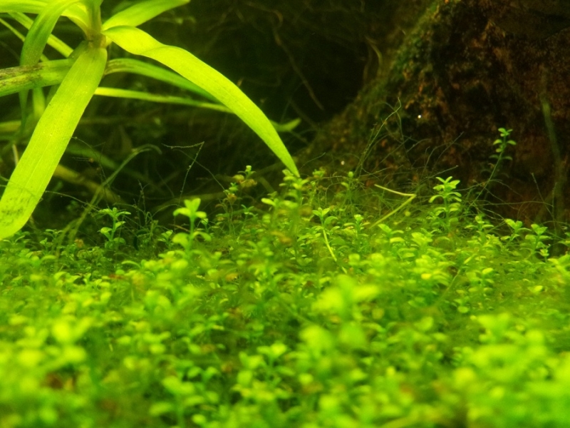 20111120_173038.jpg