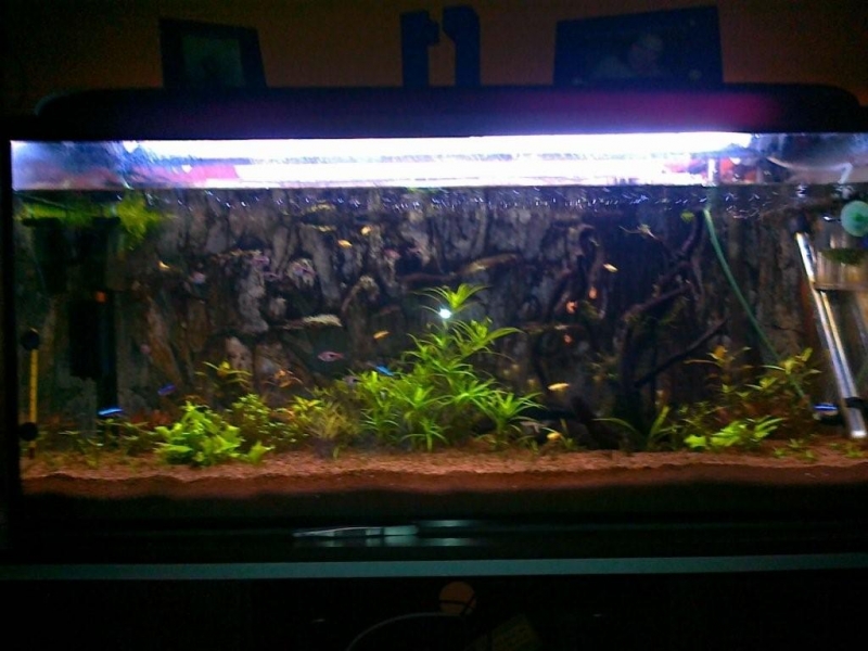 20120112118.jpg