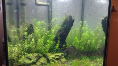30 l Lenkowe akwarium