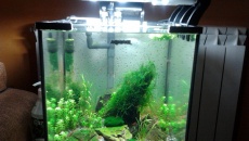 30 l Lenkowe akwarium