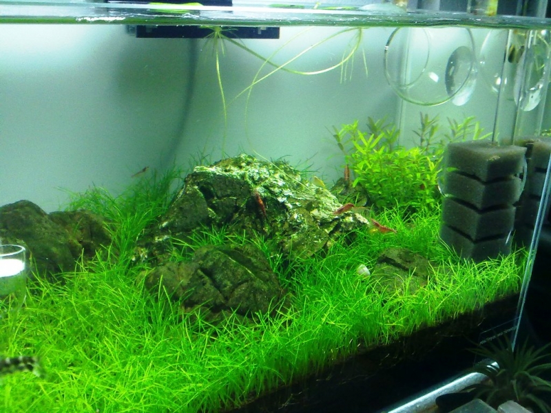 20120129598.jpg