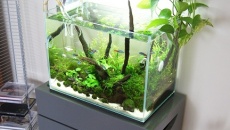 Mini M Mystic World