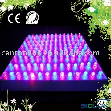 2011_45W_led_panel_grow_light_CE.jpg