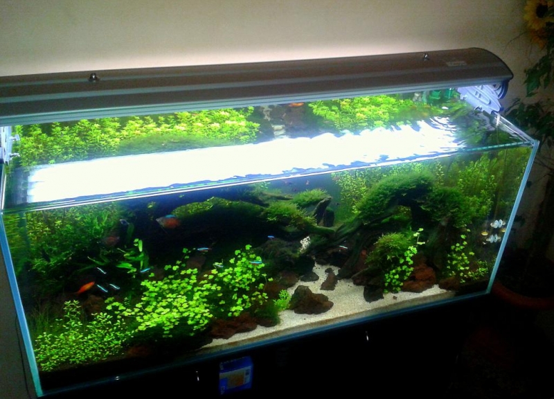 2012-03-019_jzzpl.jpg