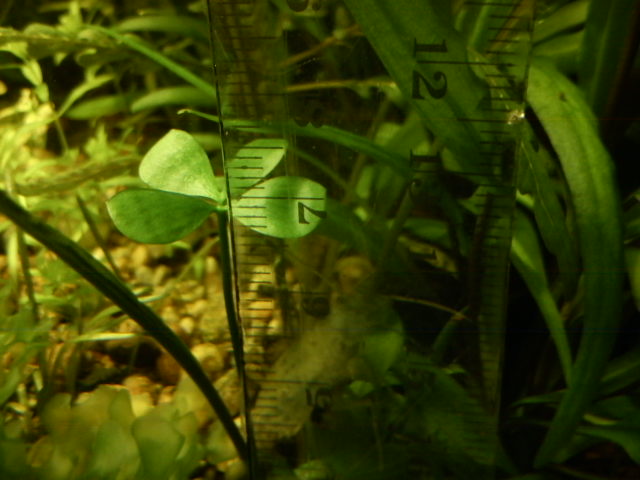 017.JPG