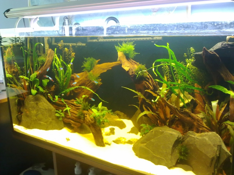20120402426.jpg