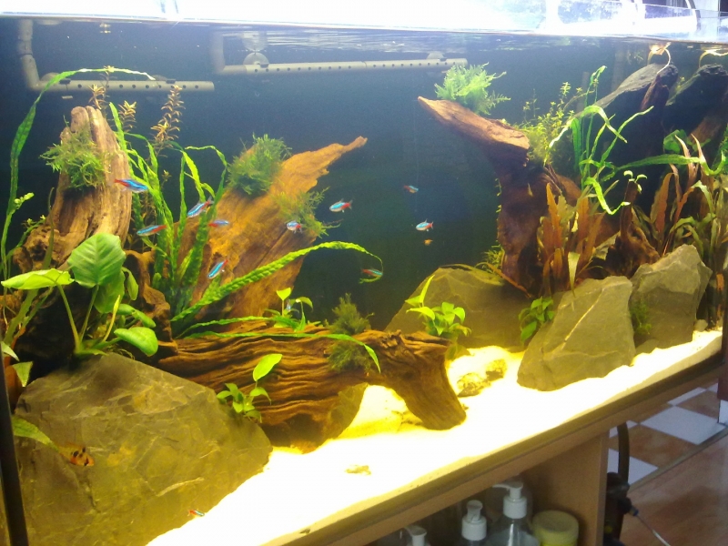 20120402425.jpg