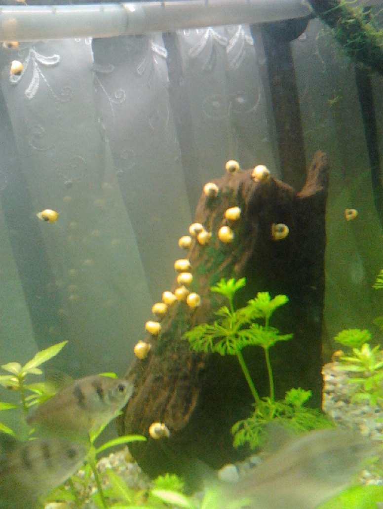 2012-04-12 18.48.20.jpg