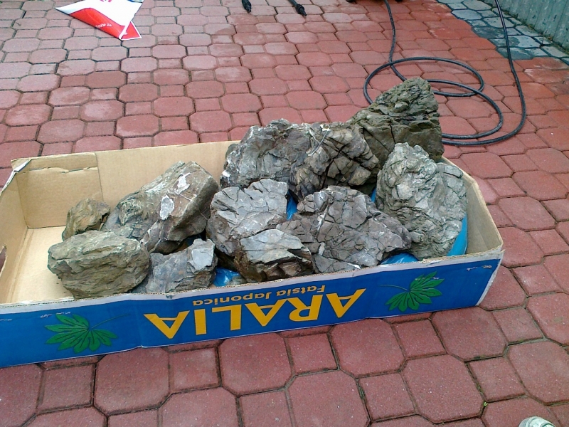 20120414277.jpg